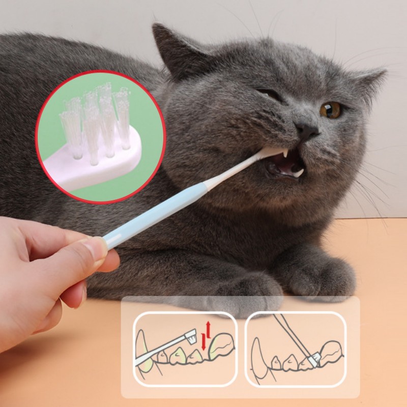 Hair Care Routine - Pet Toothbrush Set Small Head Cat